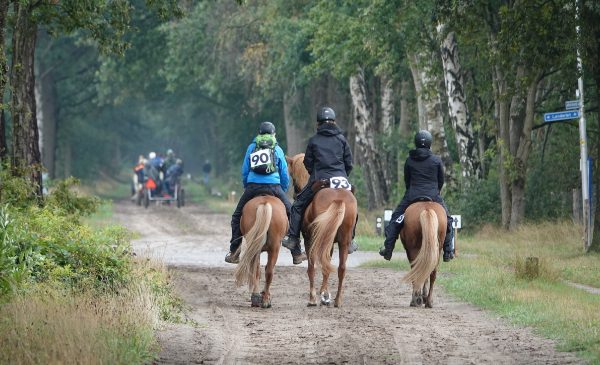 Paarden4daagse Barchem gaat dit jaar coronaproof door