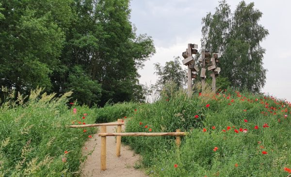 Natuurpark Kronenkamp opent deuren met veel zomerse activiteiten